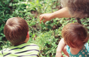 Grandparents parenting support Mangawhai